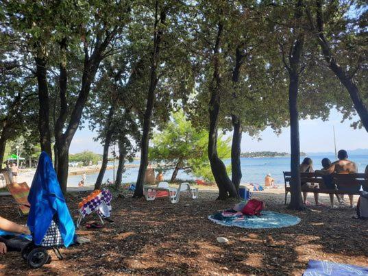Apartments Summer Touch Petrcane Bagian luar foto